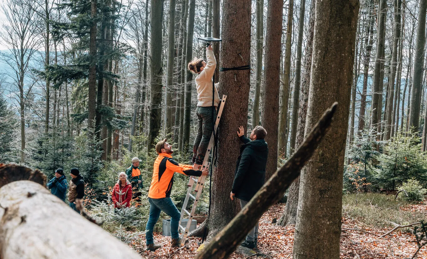 Renaturierungsfläche am Mühlriegel bei Arnbruck